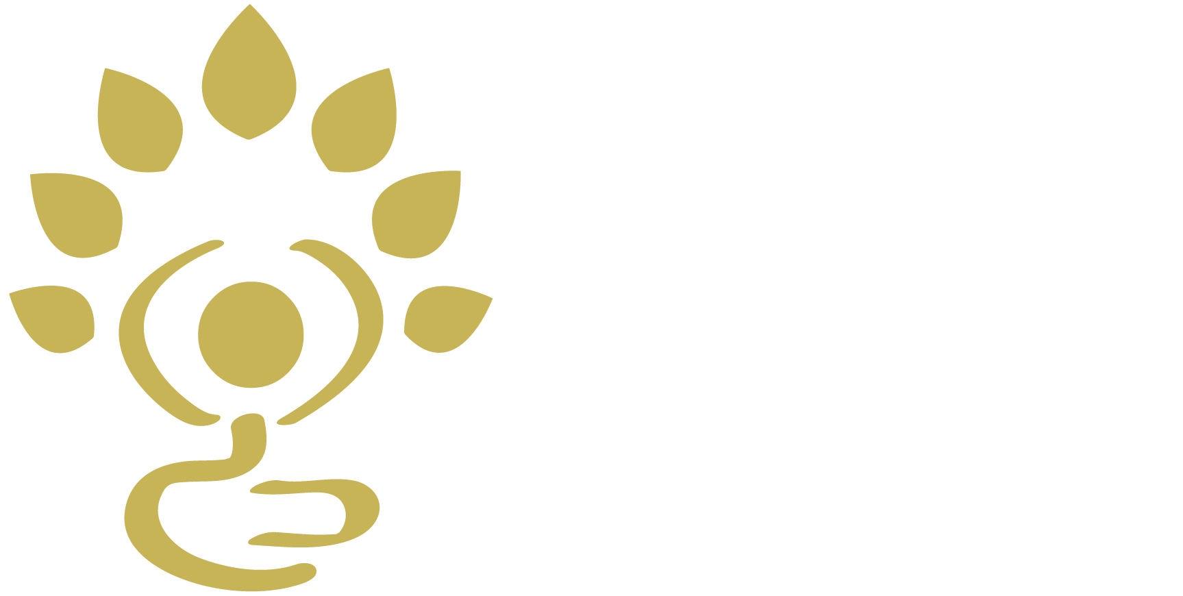 Bioma Natura Logo