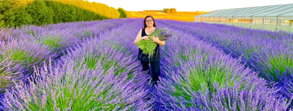 Donna nei campi di lavanda